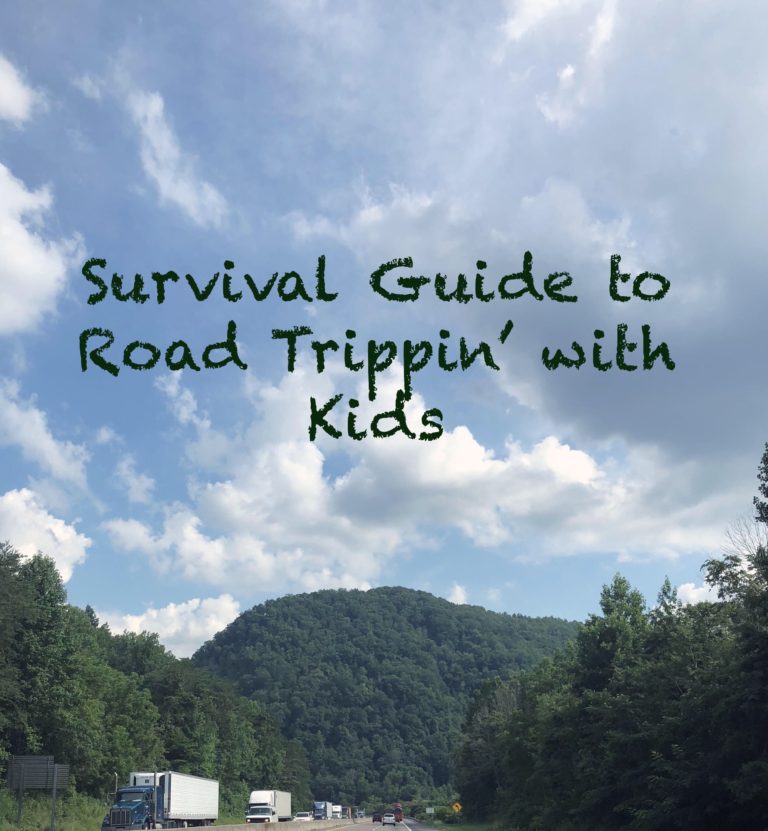 Survival of a Road Trip With Four Kids